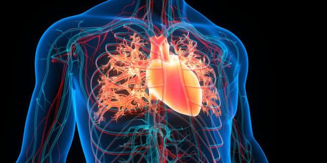 gettyimages-1368116005